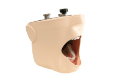Комплект симулятора пациента для адаптации на стоматологическом кресле